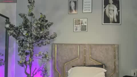 haileystonei online show from December 5, 11:30 am