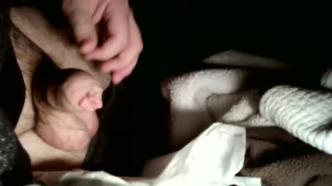 Snapshot of hailhail2 chatting on February 2, 3:05 am share9 online show from February 2, 3:05 am