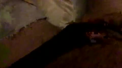 Snapshot of hairbear5 chatting on January 10, 3:30 am Bruce online show from January 10, 3:30 am