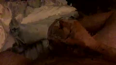 Snapshot of hairbear5 chatting on February 4, 3:45 am Bruce online show from February 4, 3:45 am