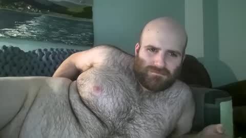 Hairiest Bear online show from January 14, 3:47 pm