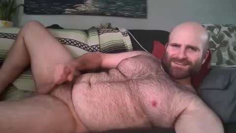 Hairiest Bear online show from March 17, 1:36 pm