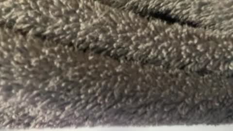 J  M online show from March 8, 4:56 am