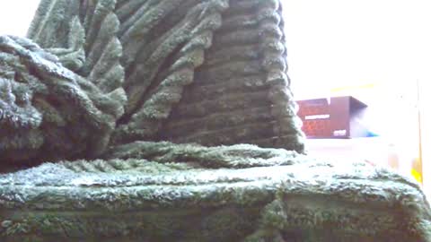 Snapshot of hairyhornytwinkk chatting on November 14, 10:36 am HairyHornyTwinkk online show from November 14, 10:36 am