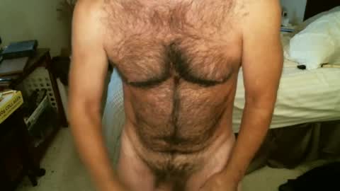 Hairy pecs online show from October 14, 4:57 am