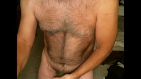 Hairy pecs online show from February 11, 7:24 am