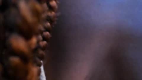 Halley Lorens online show from November 6, 7:15 pm