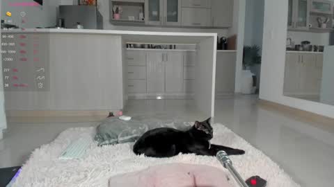 insta Laupalacio777Next stream 01th December online show from December 12, 10:52 pm