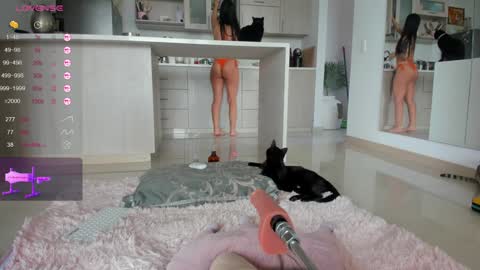 insta Laupalacio777Next stream 01th December online show from December 14, 12:44 pm