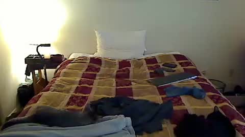 hammerthatthang73 online show from November 6, 6:42 pm