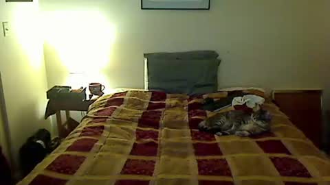 hammerthatthang73 online show from April 4, 5:06 am