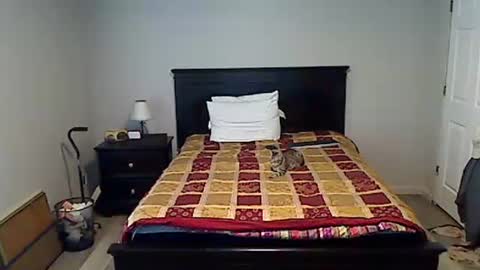 hammerthatthang73 online show from April 15, 10:54 pm