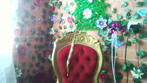 Snapshot of han_deus chatting on December 25, 5:05 pm HANMy Dears make sure to follow me here create a FREE account if you dont have one and chat thank you. online show from December 25, 5:05 pm