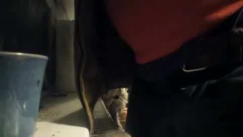 Snapshot of handncocknocum chatting on December 8, 5:22 pm handncocknocum online show from December 8, 5:22 pm