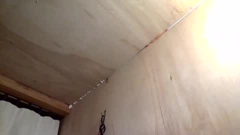 Snapshot of handywoody chatting on February 1, 11:36 pm handywoody online show from February 1, 11:36 pm