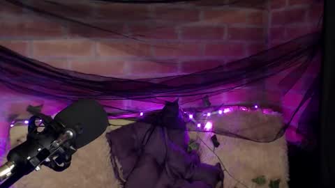 Hannah online show from December 16, 2:05 am