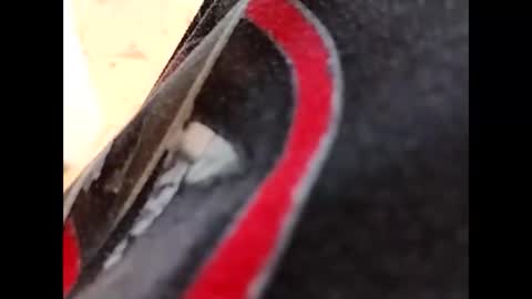 hardandhorny422 online show from October 16, 5:14 pm