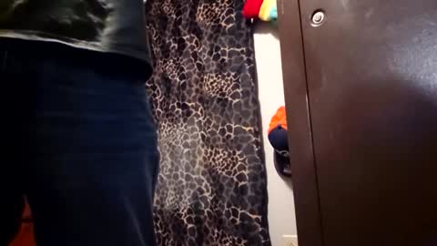 Funsize online show from February 8, 2:59 am