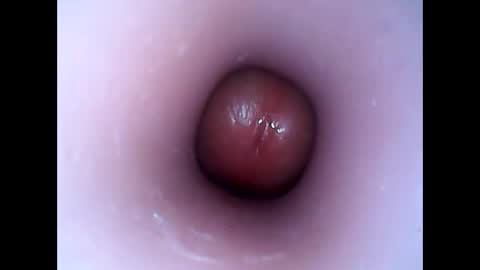 hardhammerboy online show from January 12, 7:53 pm