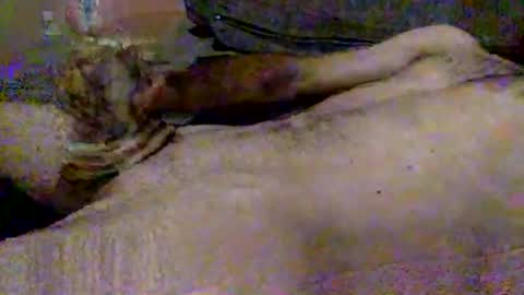 Snapshot of hardiebois chatting on November 2, 9:22 am Micheal online show from November 2, 9:22 am