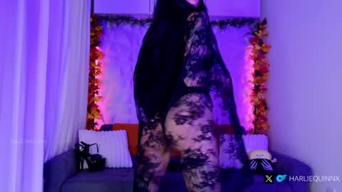 Harliequinnx - Schedule Below Exxxotica DC Dec 6-8th online show from October 31, 1:28 am