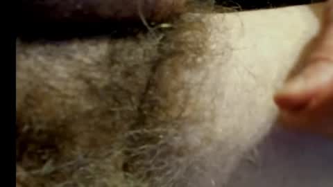 harry_banana online show from January 20, 11:10 pm