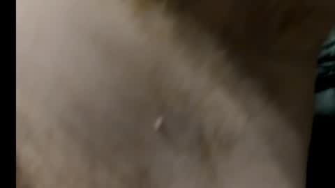 harry_banana online show from January 27, 8:29 am