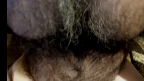 harry_banana online show from March 8, 8:55 am