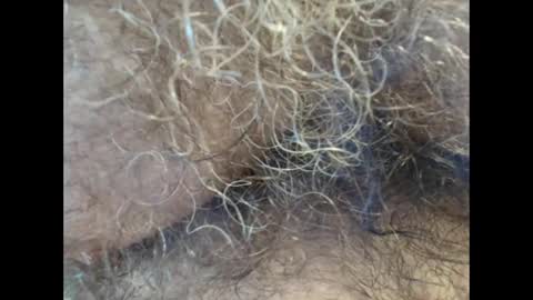 harry_banana online show from September 11, 1:11 pm