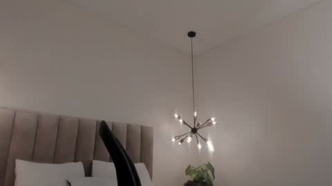 Snapshot of harryy_joness chatting on January 18, 5:37 pm Harry Jones online show from January 18, 5:37 pm