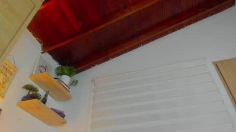 Snapshot of hazel_shy chatting on January 8, 2:25 am Im Hazel online show from January 8, 2:25 am