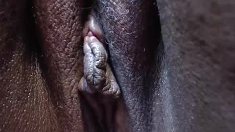 Heather online show from October 28, 3:36 pm