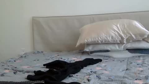 Snapshot of heatwavee chatting on February 2, 8:08 pm heatwavee online show from February 2, 8:08 pm