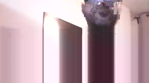 Heist Stein online show from December 13, 8:04 pm