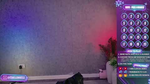 - show loyalty and subscribe -  online show from November 17, 11:43 pm