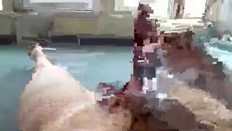 hera44 online show from October 9, 10:57 am