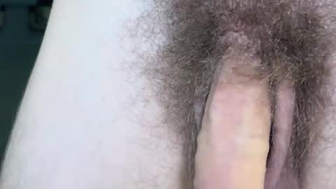 Snapshot of hey_arnold chatting on November 17, 9:42 pm Arnold online show from November 17, 9:42 pm