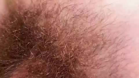 Snapshot of hey_arnold chatting on December 2, 9:21 pm Arnold online show from December 2, 9:21 pm