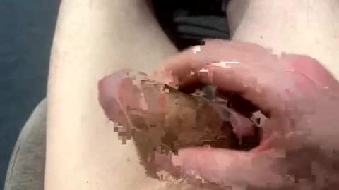 higradez online show from March 24, 7:52 pm