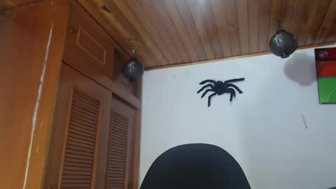 hilaril18 online show from October 28, 12:47 am