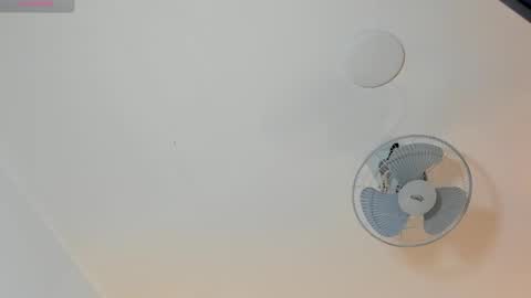 hilary_tailor online show from January 19, 11:03 am