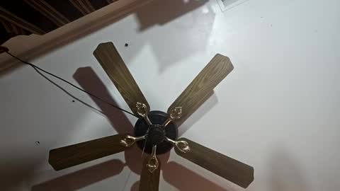 hoglegg99384194 online show from January 13, 6:27 am