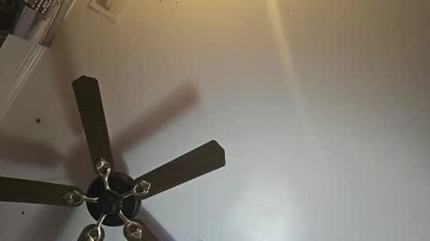 hoglegg99384194 online show from November 2, 11:01 am