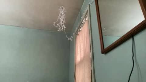 Hollys Drive threw Side Of CB. online show from December 3, 9:01 pm