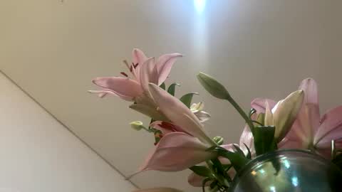 space online show from January 12, 2:28 am