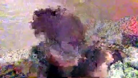 Snapshot of hometownwitch chatting on November 25, 6:19 pm hometownwitch online show from November 25, 6:19 pm