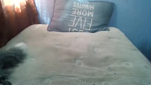 Honeybut72 online show from September 19, 9:59 pm