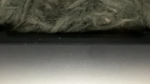 D online show from February 23, 5:38 am