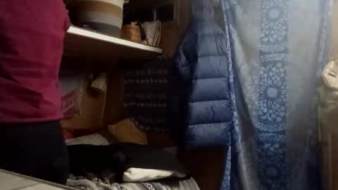 Snapshot of hoodoou chatting on February 14, 3:25 am hoodoou online show from February 14, 3:25 am