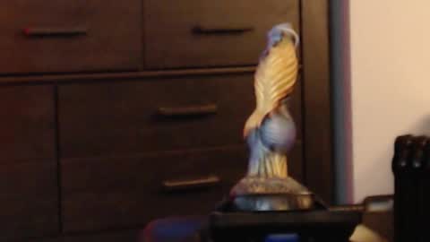 ItsReeleMe online show from February 8, 4:38 am